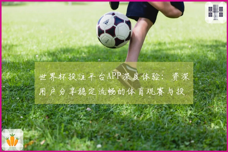 世界杯投注平台APP深度体验：资深用户分享稳定流畅的体育观赛与投注入口