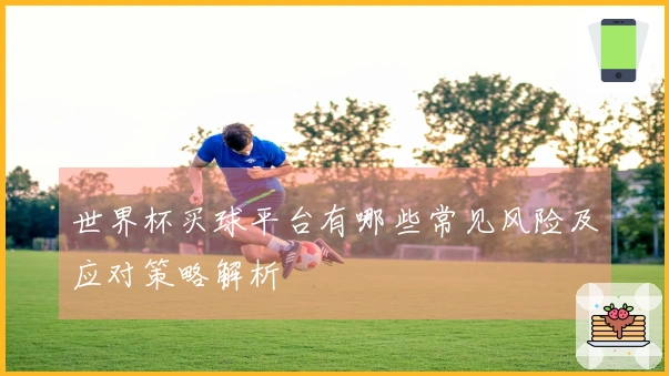 世界杯买球平台有哪些常见风险及应对策略解析