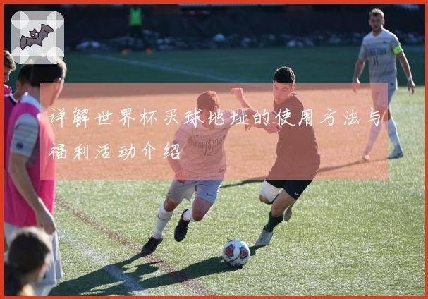 详解世界杯买球地址的使用方法与福利活动介绍