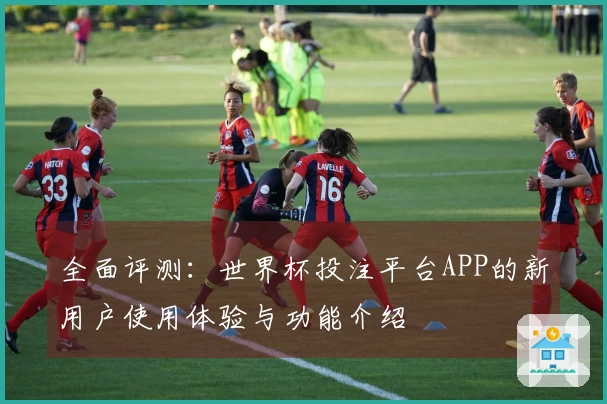 全面评测：世界杯投注平台APP的新用户使用体验与功能介绍