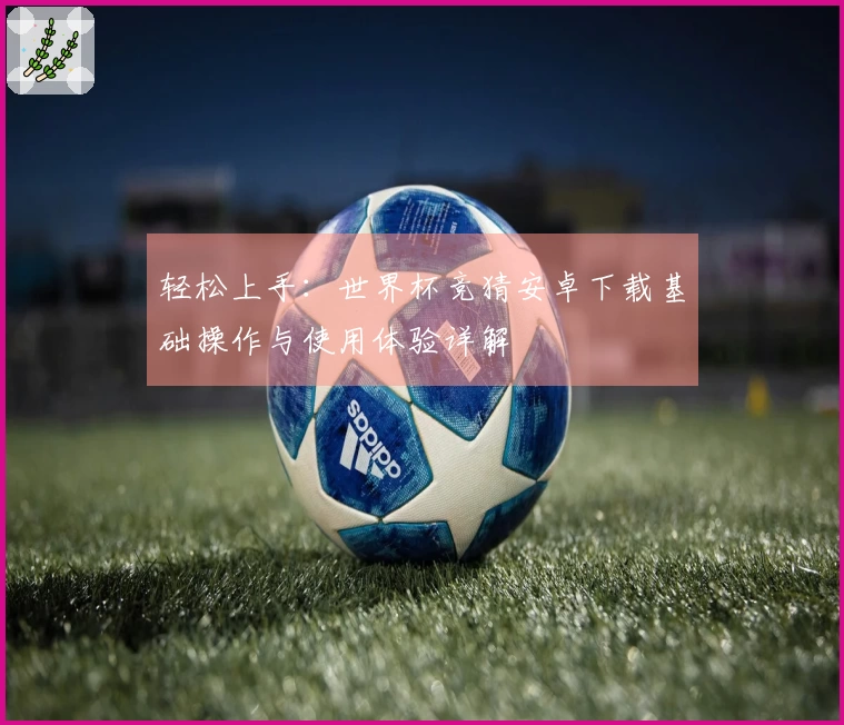 轻松上手：世界杯竞猜安卓下载基础操作与使用体验详解