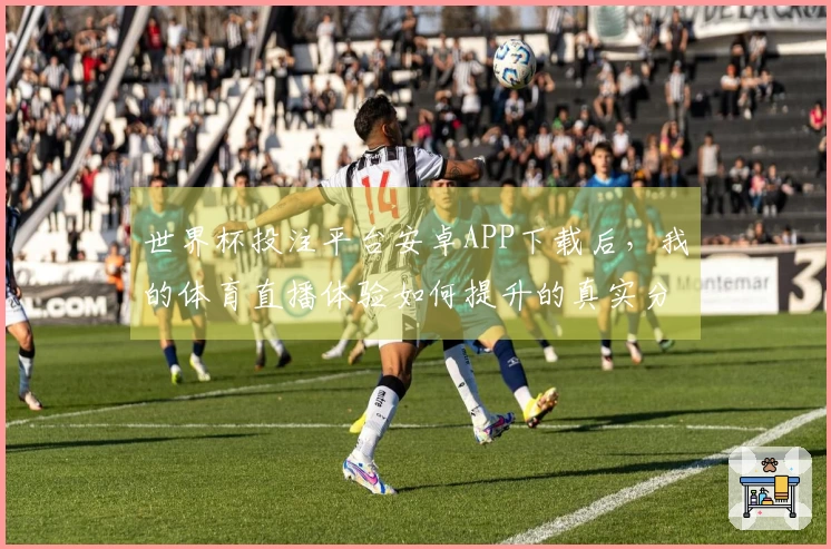 世界杯投注平台安卓APP下载后,我的体育直播体验如何提升的真实分享
