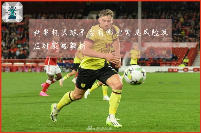 世界杯买球平台有哪些常见风险及应对策略解析
