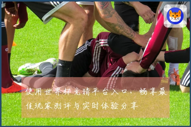 使用世界杯竞猜平台入口，畅享最佳玩家测评与实时体验分享