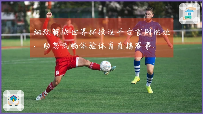 细致解读世界杯投注平台官网地址，助您流畅体验体育直播赛事。