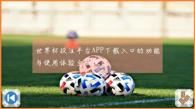 世界杯投注平台APP下载入口的功能与使用体验全面探讨