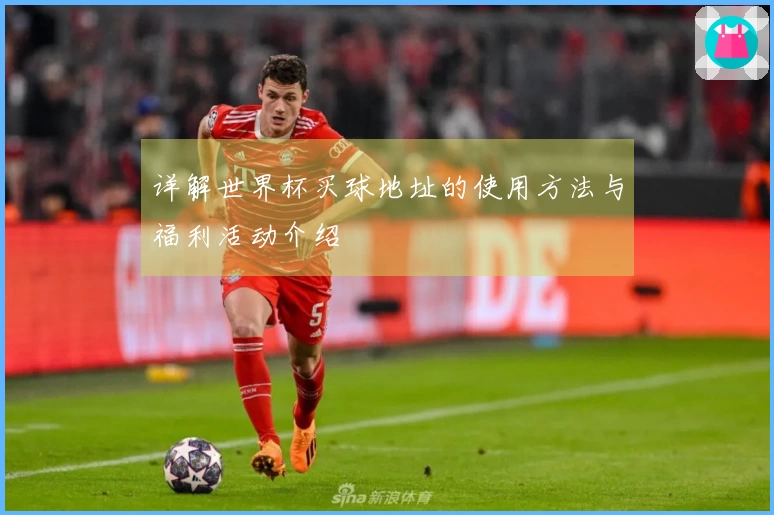 详解世界杯买球地址的使用方法与福利活动介绍