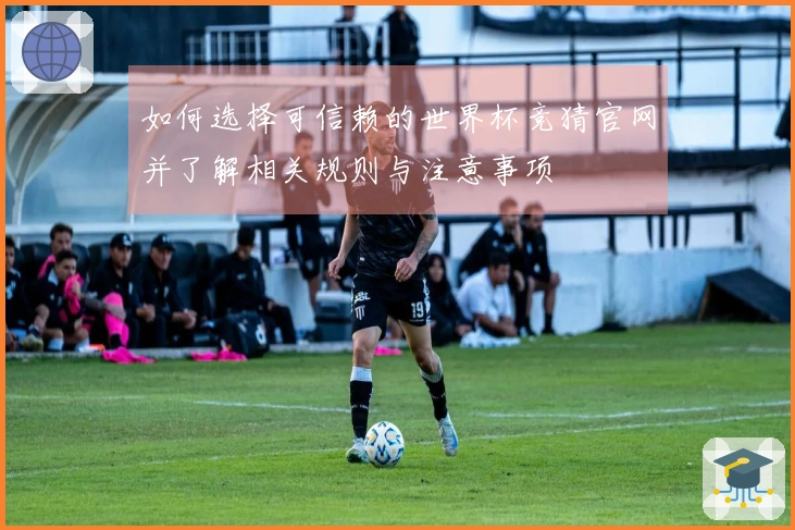 如何选择可信赖的世界杯竞猜官网并了解相关规则与注意事项