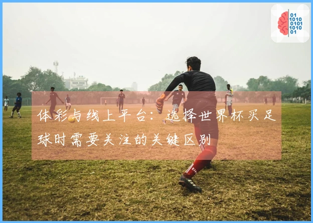体彩与线上平台：选择世界杯买足球时需要关注的关键区别